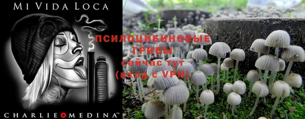 бутират Горняк