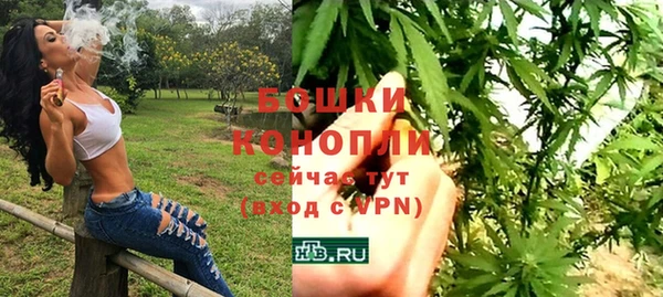 ALPHA PVP Горно-Алтайск