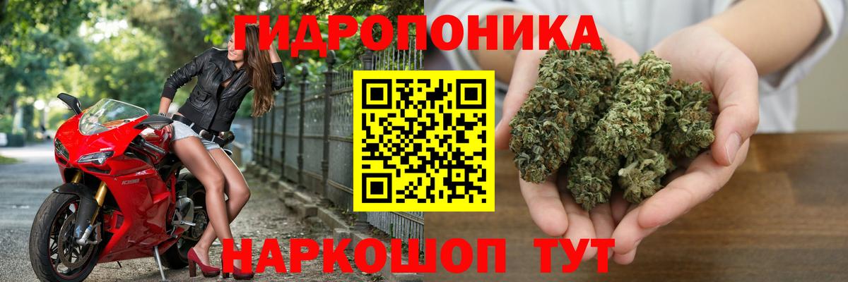 Елизово  Марихуана White Widow  Вход с VPN  Марихуана White Widow 